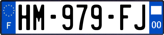 HM-979-FJ
