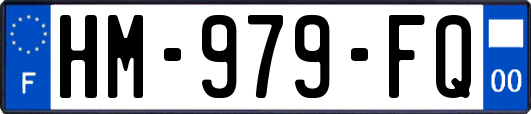 HM-979-FQ