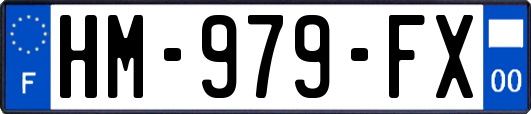 HM-979-FX