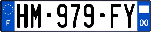 HM-979-FY
