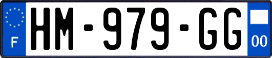 HM-979-GG