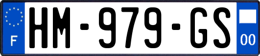 HM-979-GS
