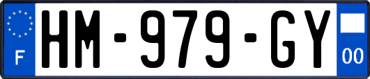 HM-979-GY