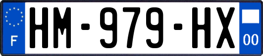 HM-979-HX