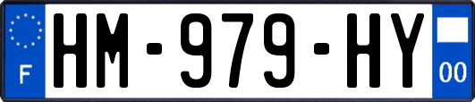 HM-979-HY