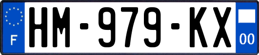 HM-979-KX