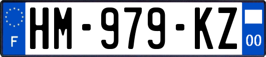 HM-979-KZ