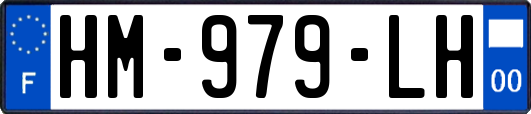 HM-979-LH