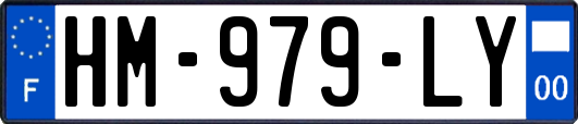 HM-979-LY
