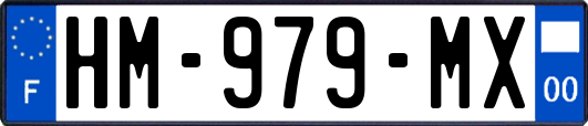 HM-979-MX
