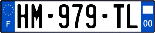 HM-979-TL