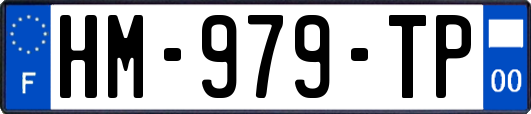 HM-979-TP