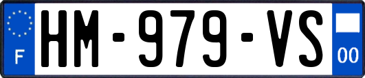 HM-979-VS