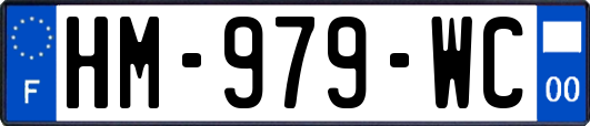 HM-979-WC