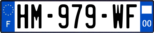 HM-979-WF