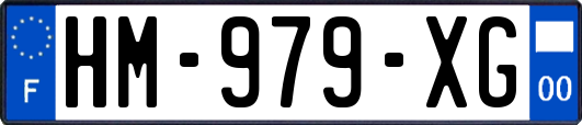 HM-979-XG