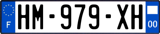 HM-979-XH