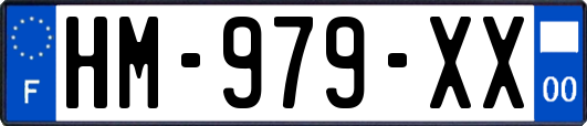 HM-979-XX