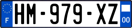 HM-979-XZ