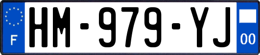HM-979-YJ