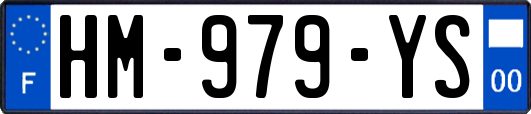 HM-979-YS