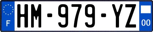 HM-979-YZ