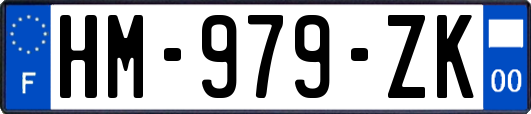 HM-979-ZK