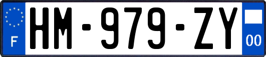 HM-979-ZY