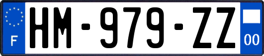 HM-979-ZZ