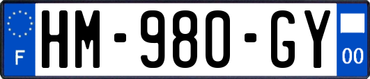 HM-980-GY