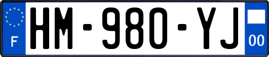 HM-980-YJ