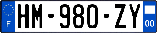 HM-980-ZY