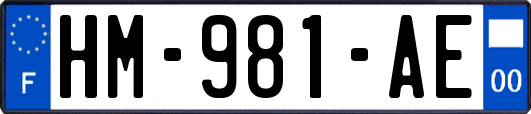 HM-981-AE