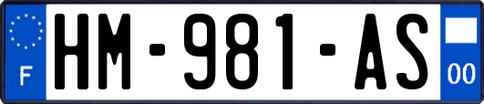 HM-981-AS