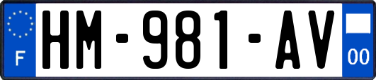 HM-981-AV