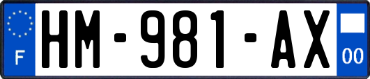 HM-981-AX