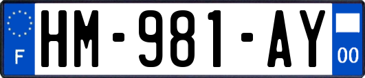 HM-981-AY