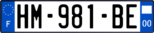HM-981-BE