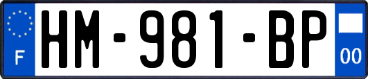 HM-981-BP