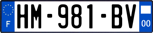 HM-981-BV