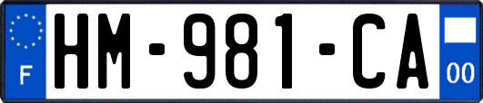 HM-981-CA