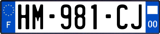 HM-981-CJ