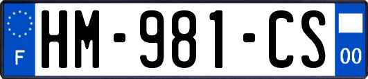 HM-981-CS