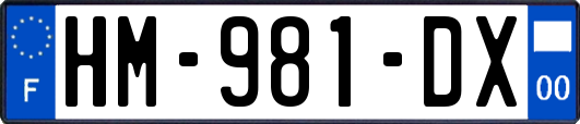 HM-981-DX