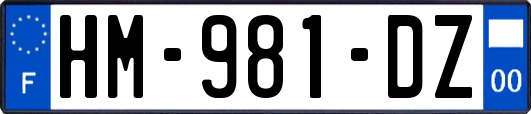 HM-981-DZ