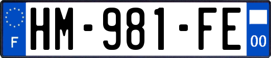 HM-981-FE