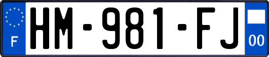 HM-981-FJ