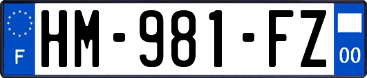 HM-981-FZ