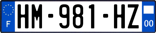 HM-981-HZ