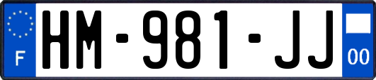 HM-981-JJ